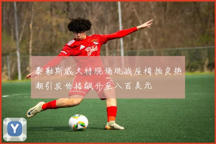 泰勒斯威夫特现场观战座椅拍卖热潮引发价格飙升至八百美元