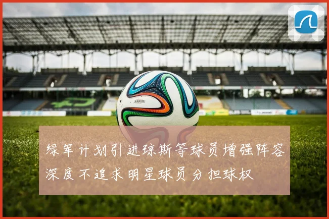 绿军计划引进琼斯等球员增强阵容深度不追求明星球员分担球权