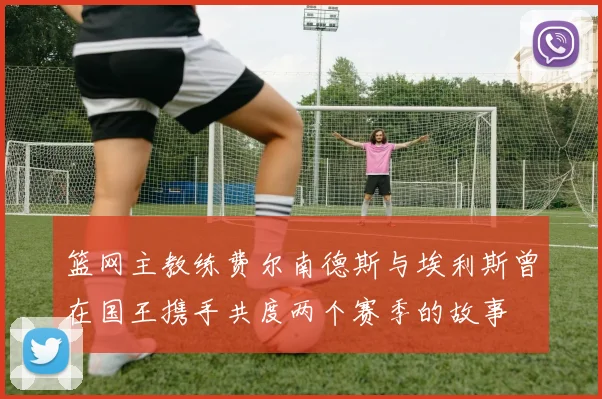 篮网主教练费尔南德斯与埃利斯曾在国王携手共度两个赛季的故事